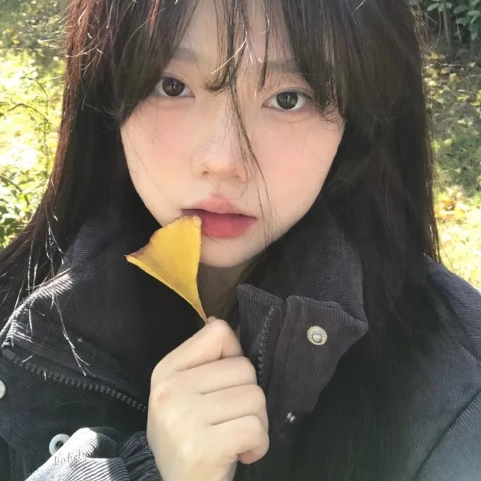 尤哈 在线观看
